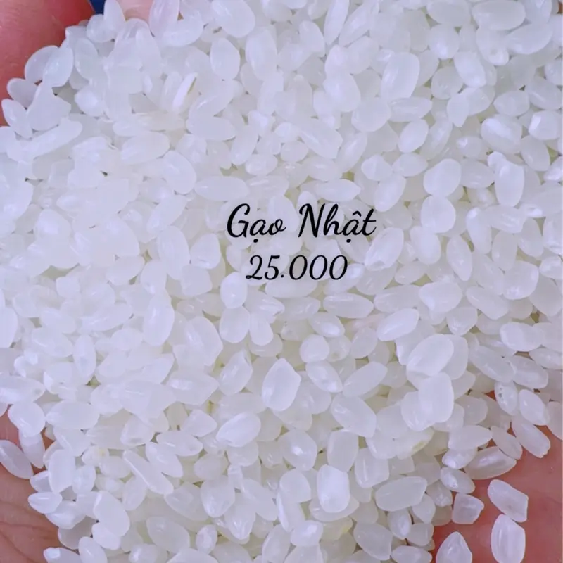 10Kg Gạo Nhật Làm Sushi Dẻo Mềm Ngọt Cơm ( 10KG) 3