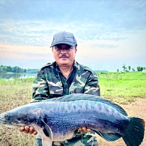 Toán Nhà Quê Câu Cá