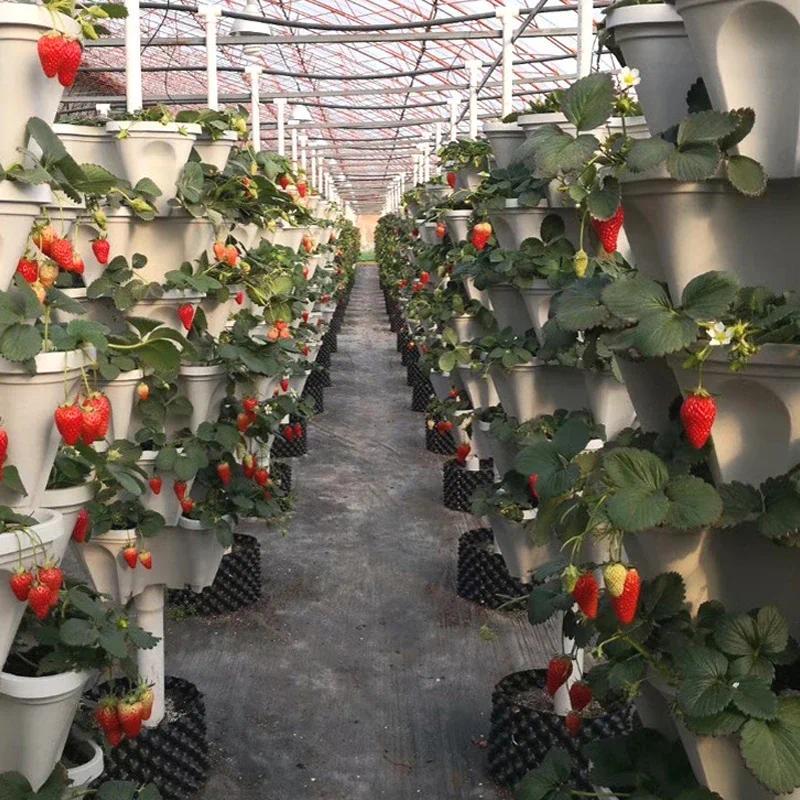 Product Introduction of Three-Petal Pot Decoration 1PC Plastic Stackable Vertical Flower Plant Pot Strawberry Seedling Holder Vegetable Planters Garden 4
