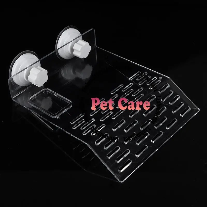 [hot sale]Bệ phơi nắng cho rùa trong suốt 0