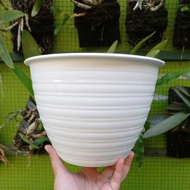 pot putih untuk bunga