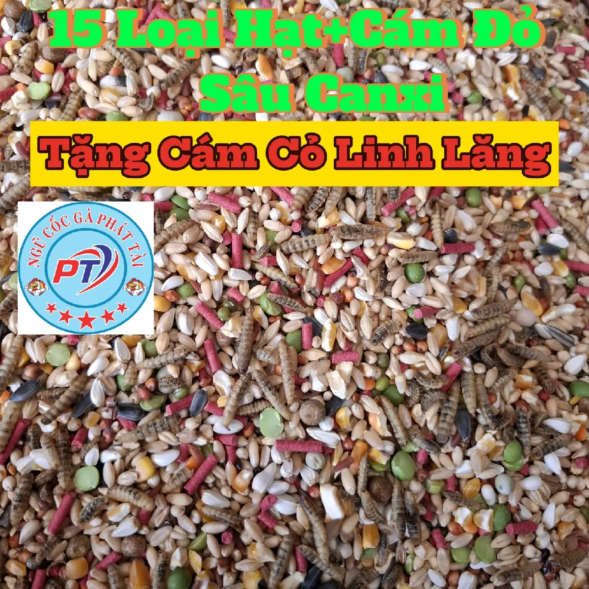 10kg NGũ CỐC Gà Có Sâu vip loại 1(Tặng Cám Cỏ Linh Lăng)