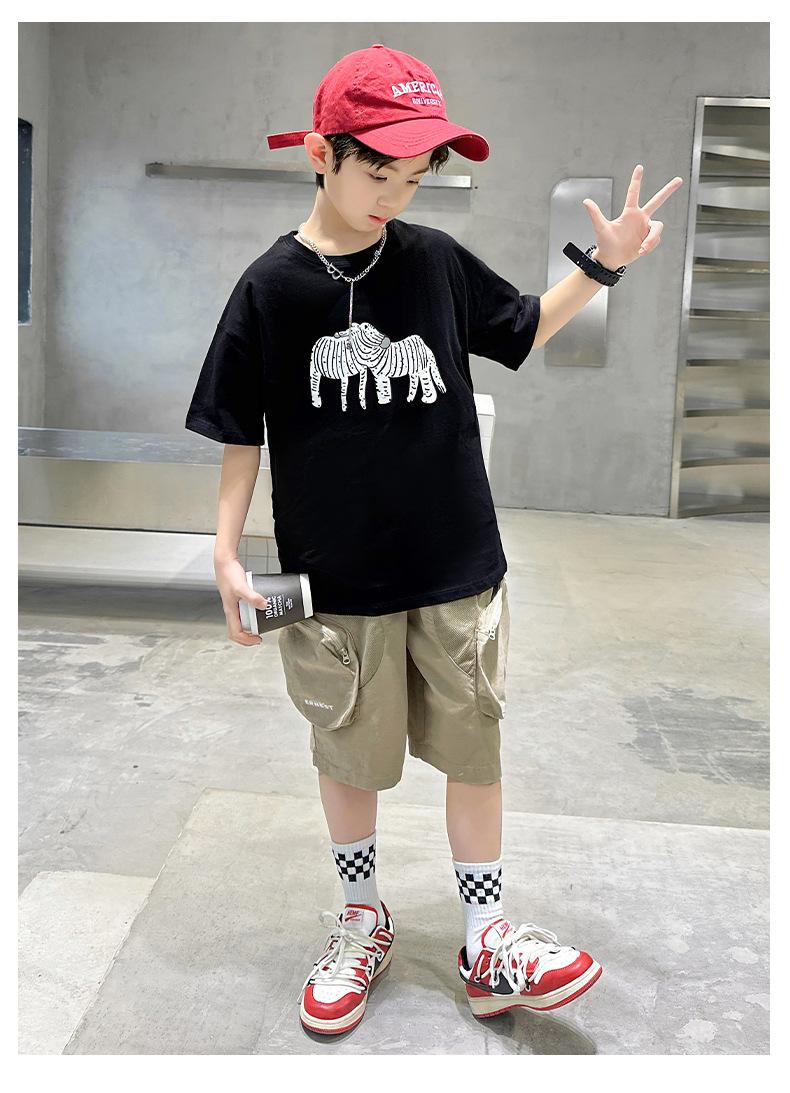 Product Introduction of Boys' Short Sleeve T-Shirt Summer 2025 New Children's Cotton Summer Boys' Trendy Top 27