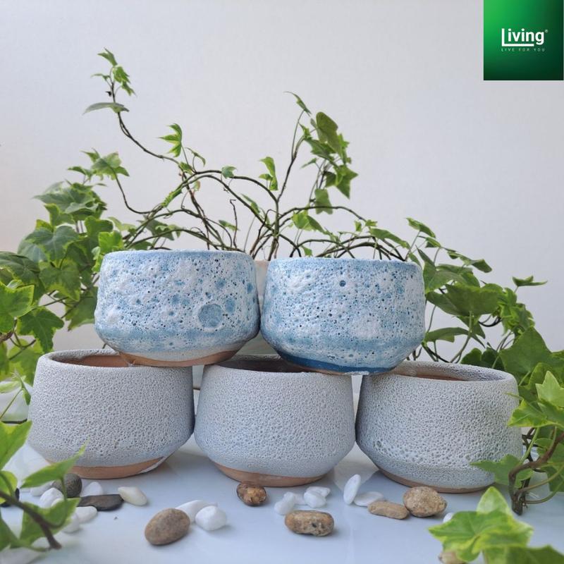 Chậu trồng sen đá, xương rồng, tiểu cảnh sứ Bát Tràng , hình hạt rẻ kích thước 8x7cm. l Living Decor 1