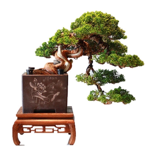 Vật tư nông nghiệp Thủ Đức