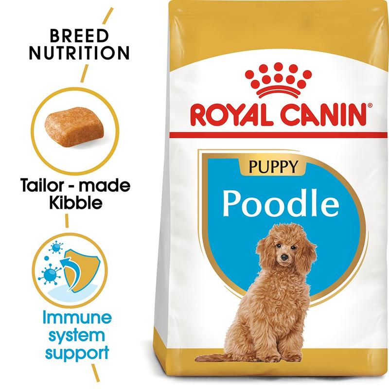 Thức ăn hạt Royal Canin Poodle Puppy cho chó lông xoăn - MINIMAL Pet