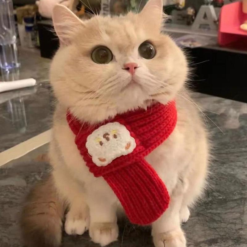 Product Introduction of Cat New Year's Bib Dog Comparison Scarf Pet Accessory 17
