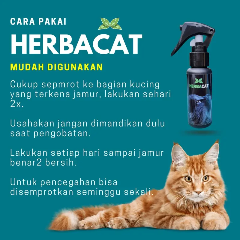 (BISA COD) HerbaCat Spray Obat Anti Jamur dan Scabies Kucing Alami Kesehatan Bulu Kitten fan kucing dan untuk pencegahan penyakit kulit pada kucing 5