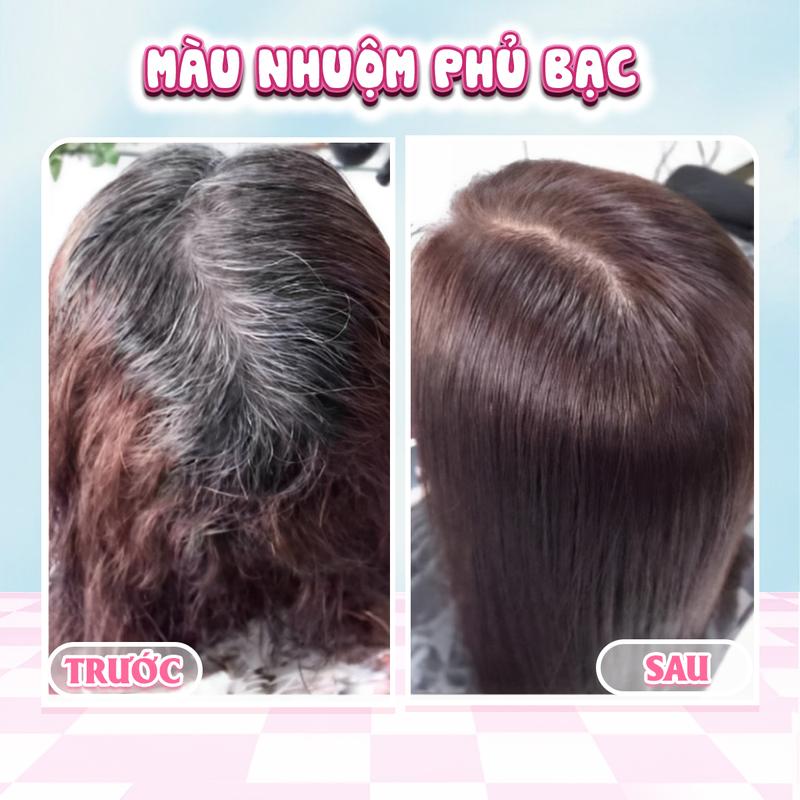 Thuốc Nhuộm tóc phủ bạc thuốc nhuộm tóc phủ bạc màu Nâu cafe Hạt dẻ sữa. Nâu carmel Minhair Đổi Màu Tóc Nam Nữ Women