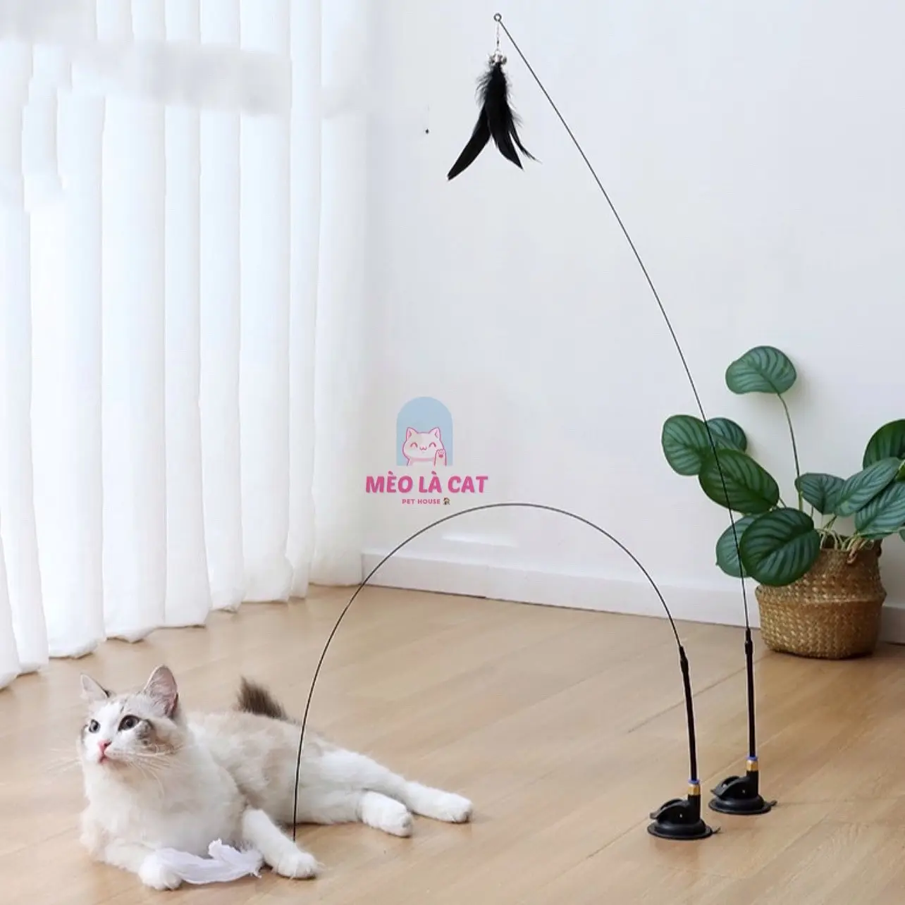 Cần câu mèo dính sàn, đồ chơi cho mèo (Không dùng cho sàn gỗ)