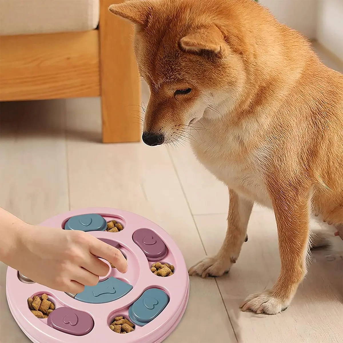 Round Multi Grid Pet Feeder, 1 Count Durable Dog Food Hidden Dispenser, Interactive Educational Feeding Toy, Fun Indoor and Outdoor Toy for Dogs & Cats, Valentine's Day Gift, Pet Products