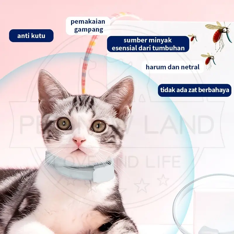 Kalung Anti Kutu Kucing Anjing Anti Serangga Pinjal Dapat Disesuaikan Aksesoris Hewan Peliharaan 3