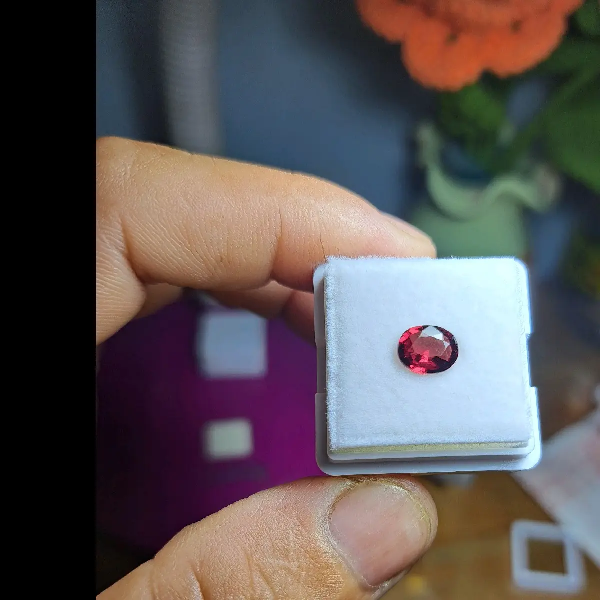 ganet. đỏ tự nhiên được cắt mai tỉ mi