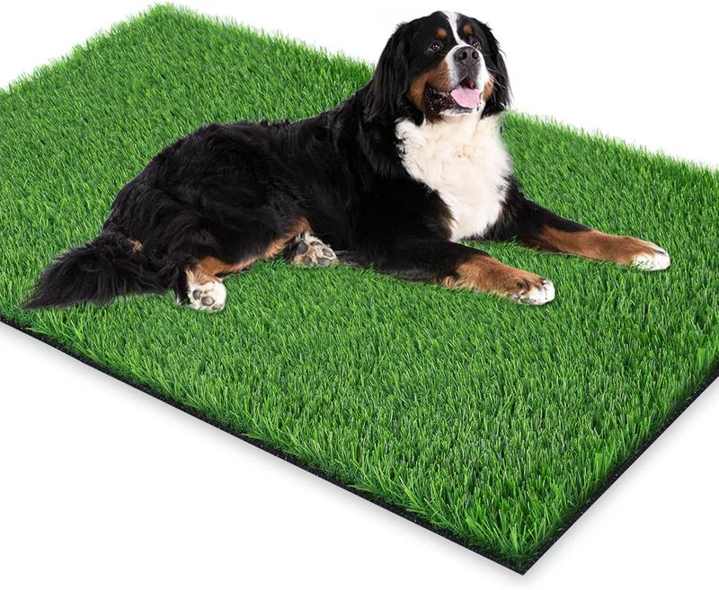 TikTok Shop Extra Large Artificial Grass for Dogs to Pee Potty Training Whelping Puppy Fake Grass for Outdoor Patio Indoor High Drainage 59.1 x 31.5