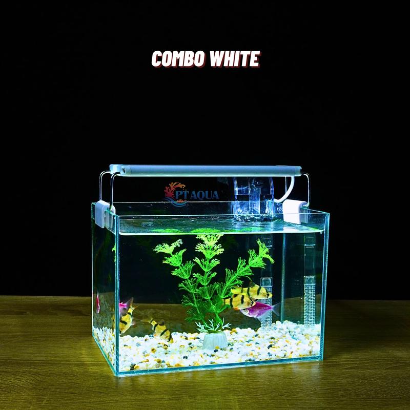 Bể Cá Mini Để Bàn 20x14x14cm Nhỏ Xinh Dễ Thương Phù Hợp Nuôi Cá Cảnh Nhỏ Để Bàn