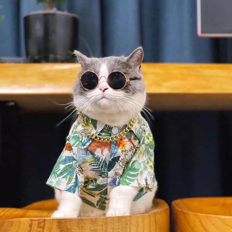 Cat Shirt Summer Thin Floral Internet Celebrity Blue and White Cat Anti-Shedding Clothes Ragdoll Schnauzer Dog Small Breed 3