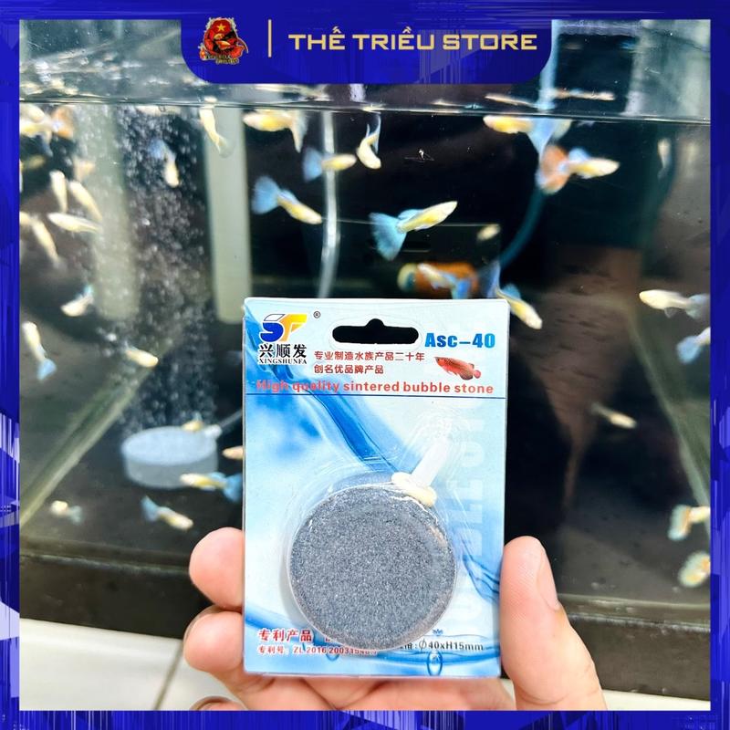 Sủi Dĩa Oxy Hồ Cá - Đá Sủi Dĩa Oxi Mịn Cho Bể Cá Thuỷ Sinh ( 4cm )