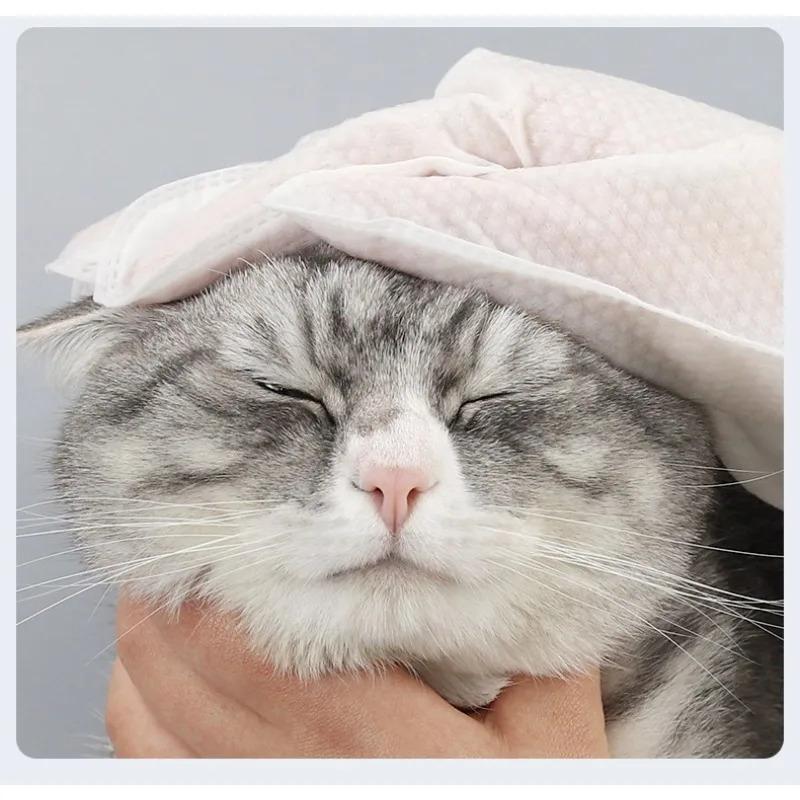 Pet Wash Free Glove Cleaning Pet Stain Remover Wipes Disposabl Cleaning Massage Grooming No-wash Wipes for Dogs & Cats Supplies 2