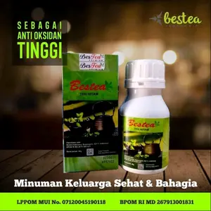 Teh Hitam Bestea Alami Organik Alami Tea kopi hambalang