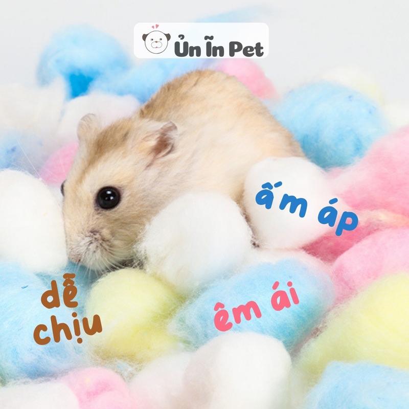 Lót chuồng hamster BÔNG GÒN 7 MÀU gói chiết lớn nhỏ