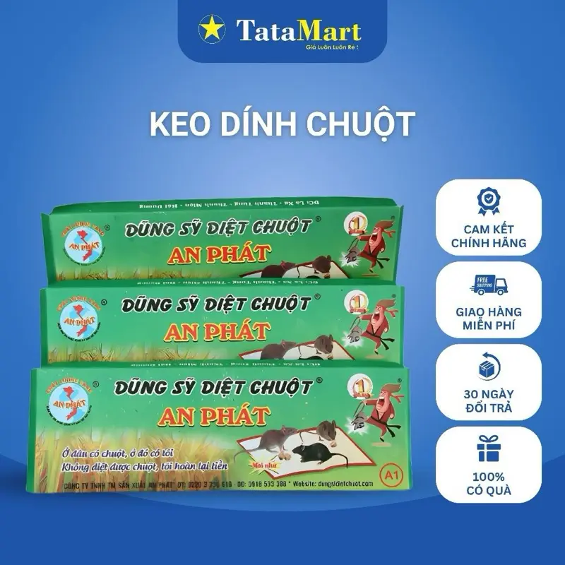 KEO DÍNH CHUỘT AN PHÁT – GIẢI PHÁP HIỆU QUẢ CHO VẤN ĐỀ CÔN TRÙNG