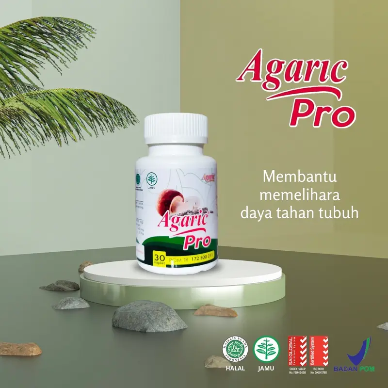 Agaric Pro AgaricPro Original untuk mengurangi Kolesterol coq 10 7