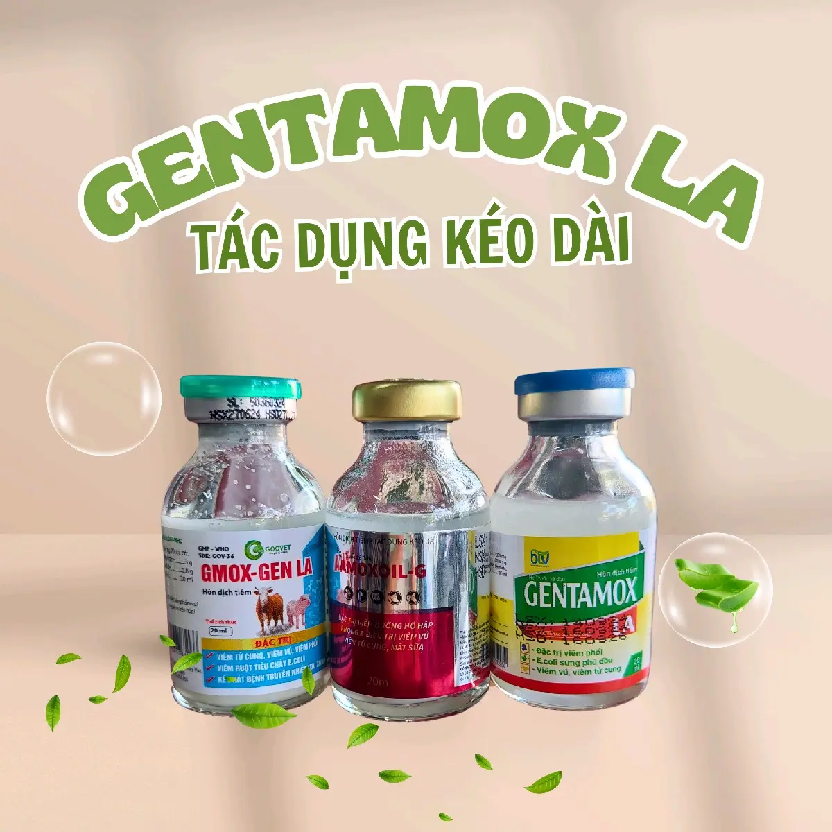 Gentamox - LA Chuyên Bỏ Ăn Không Rõ Nguyên Nhân Viêm Vú, Viêm Tử Cung, Viêm Phối, Tụ Huyết Trùng , Viêm Da - Điều Trị Hiệu Quả 48 Giờ