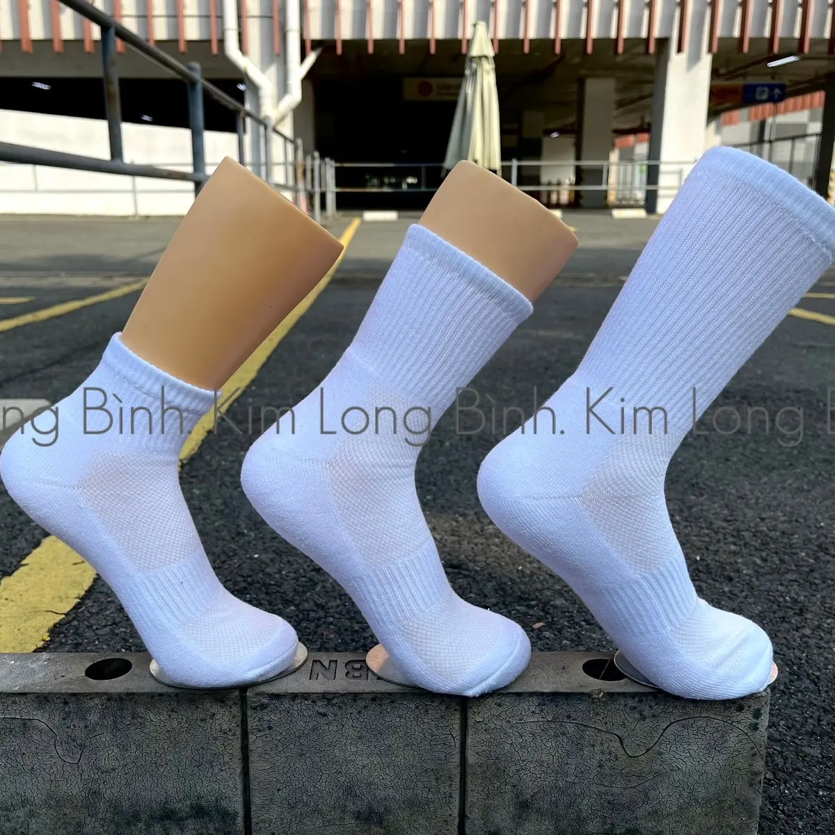 Tất Vớ Thể Thao Đệm Bông Lót Xù Dày (Trơn Không Logo) - Ngắn , Trung , Cao Unisex . Mua 2 combo tặng thêm 1 đôi (7 đôi) Sport Nam Yoga