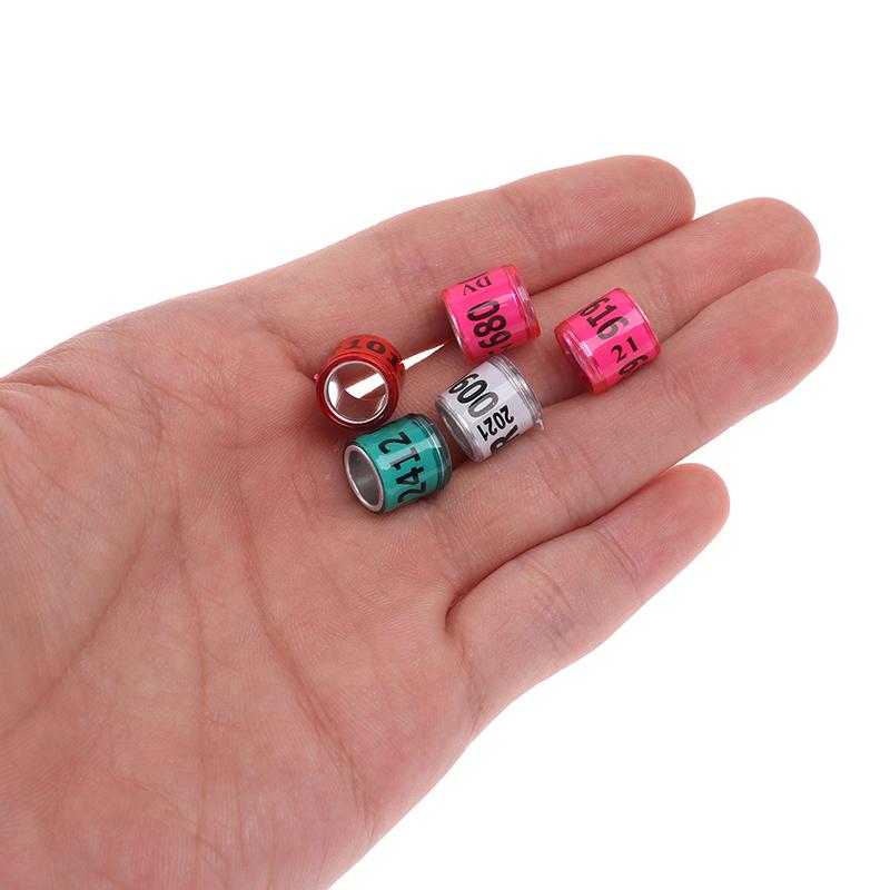 Product Introduction of 20 pcs Pigeon Foot Ring With Word Earrings 2023 Multicolor Bird Tools 13