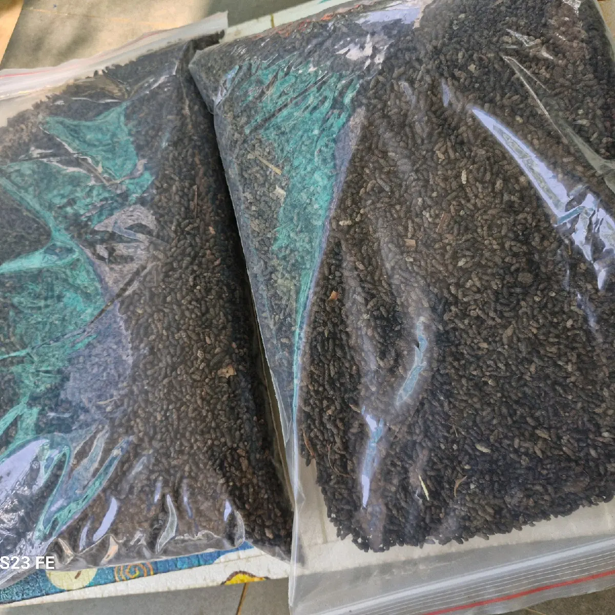 combo 2kg phân dơi nguyên chất không nhãn