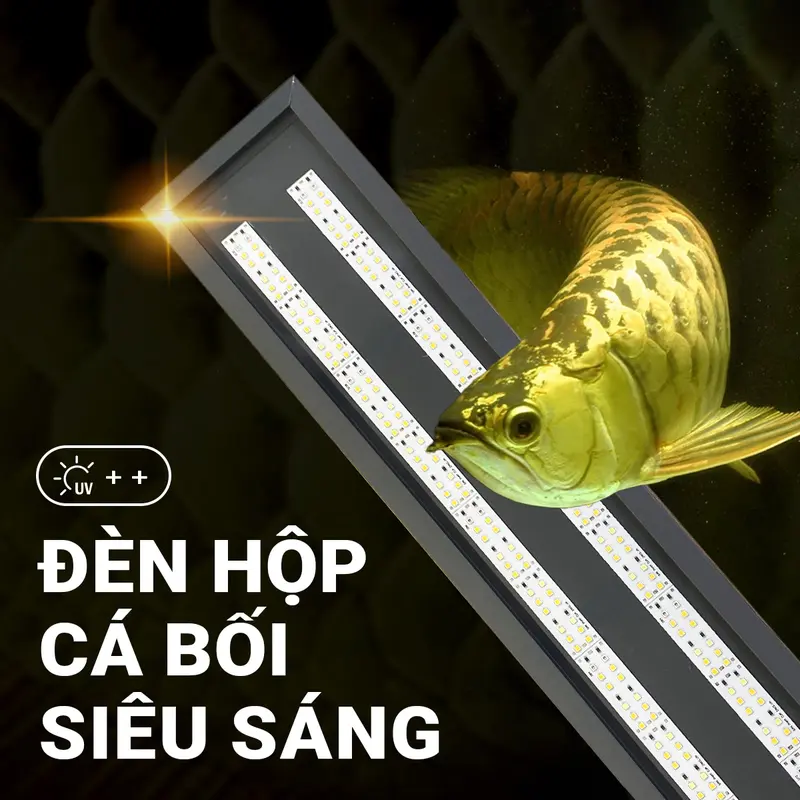Đèn Thanh Cá Bối Zako Siêu Sáng-1.5M 0