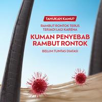 Gambar Lifebuoy Shampoo Perawatan Rambut Rontok 170ml Anti Rambut Rontok dari Mitech Protection Kota Tangerang Selatan 5 Tokopedia