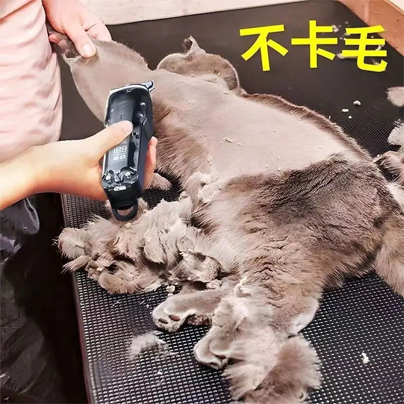 Máy Cạo Lông Thú Cưng, Cắt Lông Chuyên Nghiệp, Thích Hợp Cho Chó Và Mèo Lớn, Chó Và Mèo Teddy, Máy Cạo Nữ, Được Sử Dụng Bởi Các Bác Sĩ Thú Y, Cắt Tóc Thông Dụng Máy Cắt Tóc Điện 3