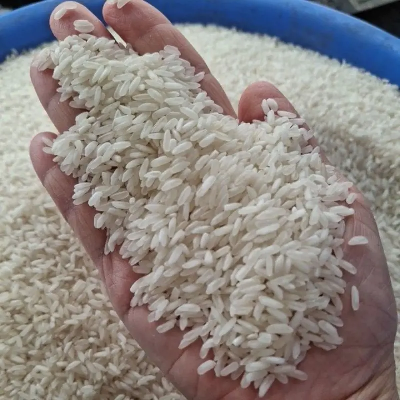 Gạo Nở Khô Xốp Hàm Châu - Gạo 504 - 10kg 2