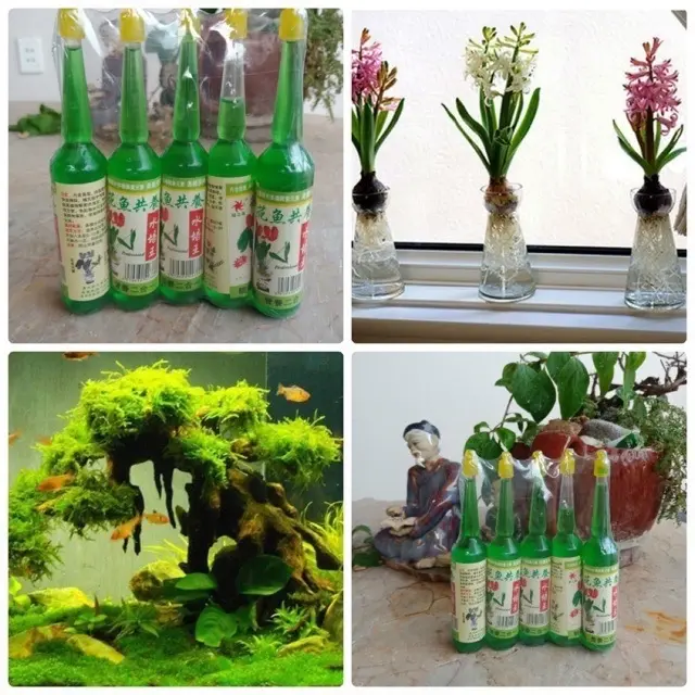 Dung dịch thủy canh thủy sinh dành cho các cây thủy sinh an toàn tiện lợi