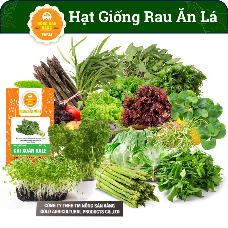 Tổng Hợp Các Loại Hạt giống Rau Ăn Lá, Chịu Nhiệt, Trồng Quanh Năm, Dễ Trồng, Năng Suất Cao - Nông Sản Vàng 1