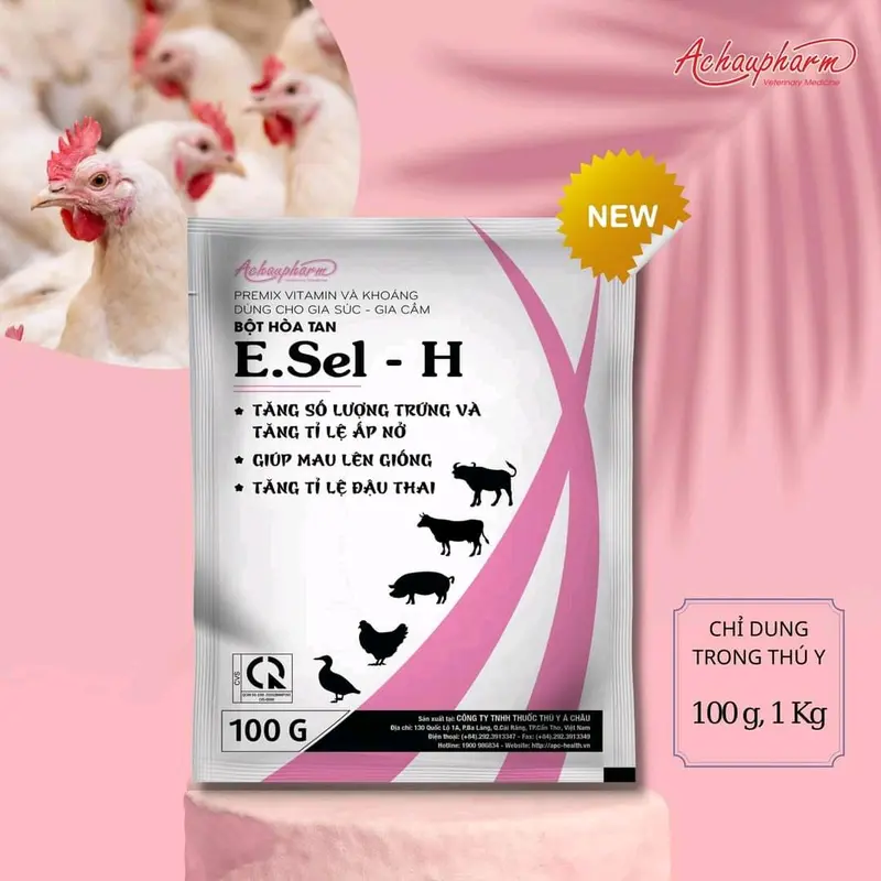 E.SEL-H 100G GIÚP BÒ HEO MAU LÊN GIỐNG - TĂNG SẢN LƯỢNG TRỨNG VÀ TĂNG TỈ LỆ ẤP NỞ TRÊN GÀ 3