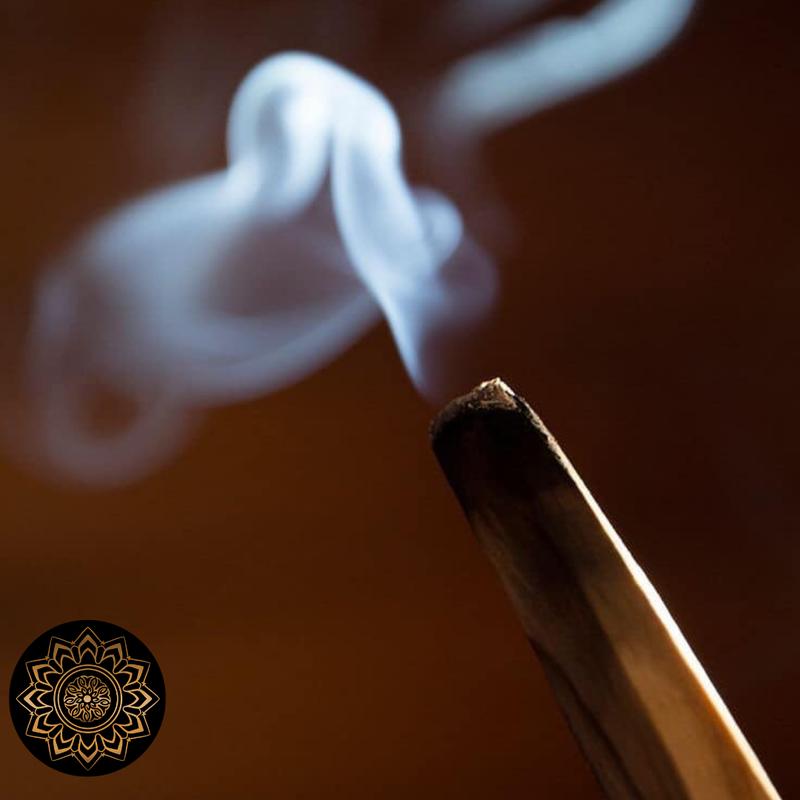 Que Gỗ Trắc Xanh Palo Santo Holice Thanh Tẩy Đồ Vật, Không Gian Sống, Nạp Năng Lượng, Xoa Dịu Tâm Trí