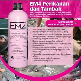 EM4 Pink | Pupuk Cair Organik | EM4 Perikanan 1