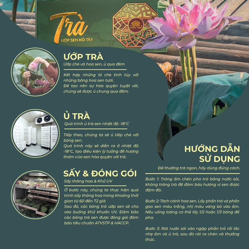 Trà ướp sen Hồ Tây - Đại Thọ (Bông) Cody Tea traxanh 6
