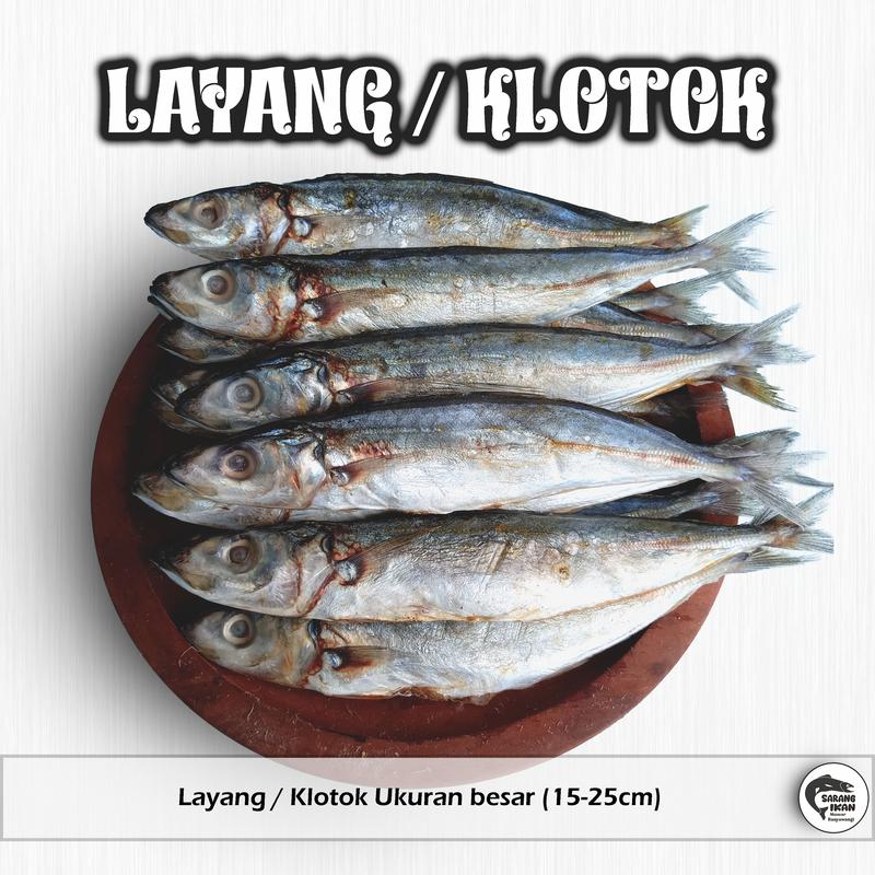 IKAN LAYANG / KLOTOK / BENGGOL BESAR ASIN 100/250/500 gr Laut 1