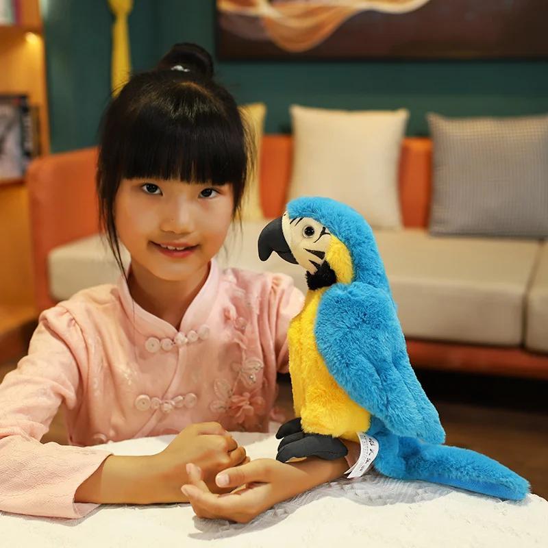 Product Introduction of 25CM Lifelike Bright Colorful Parrot Plush Toys Soft Simulation Wild Animals Stuffed Bird Doll Children Kids Gift Home Decor 13