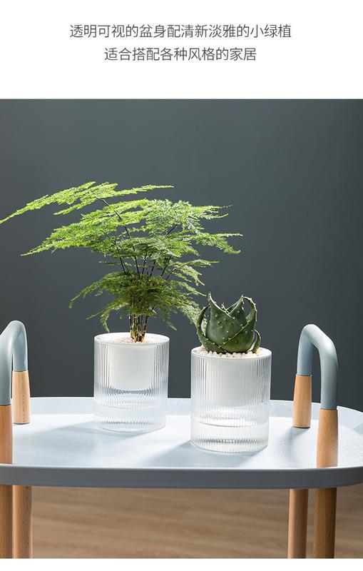 Product Introduction of High-auality Plant Self-watering Pot with Water Container Home Decoration Round Decorative FlowerPot and Planter for Garden 10