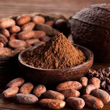 Bột Cacao Nguyên Chất Không Pha Bột Tây Nguyên - Ăn Vặt Api Food 2