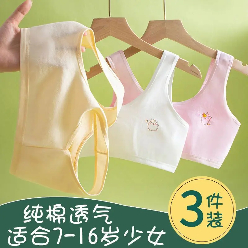 Áo Vest, Thời Kỳ Phát Triển, Dành Cho Học Sinh Nữ, Tiểu Học, Học Sinh Trung Học Cơ Sở, Bé Gái, Trẻ Lớn Hơn, Đồ Lót Bé Gái, Áo Ngực