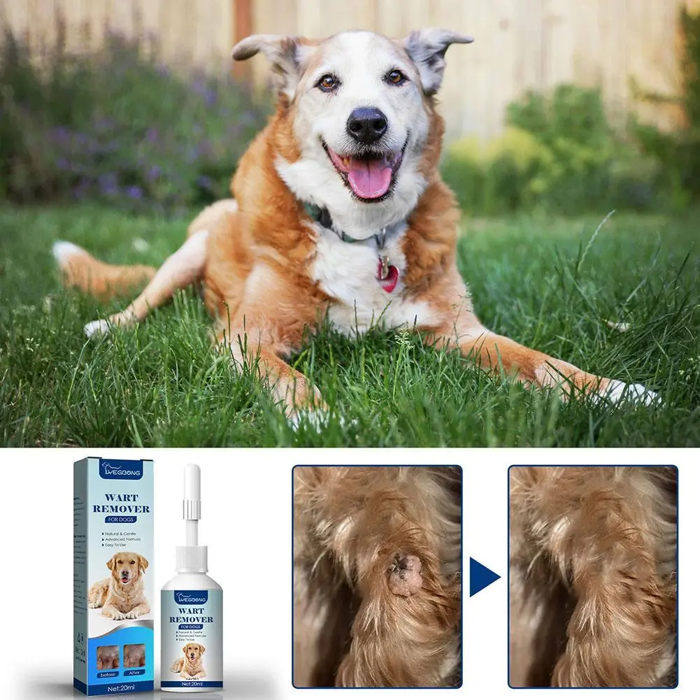 Pet Kwara Liquid Skin Tag Remove Granulation Warts To Flat Prick Lijing Especially Verruca M7O7