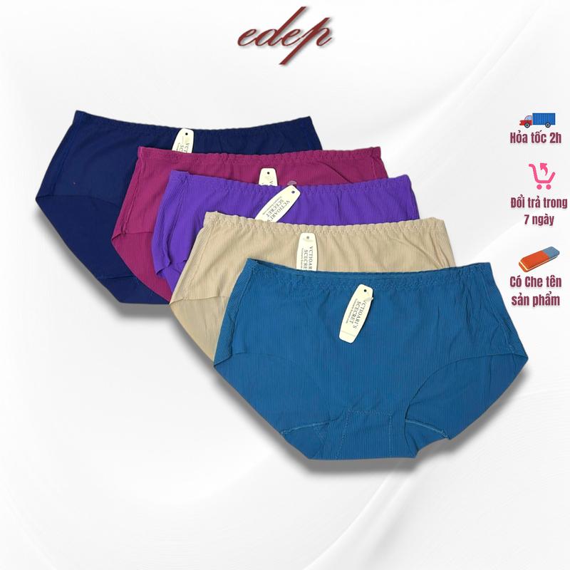 Set 5 Quần Lót Nữ Su Sọc Dọc Kẻ Tăm Phối Ren Hoa Women Nhung Viền Ren Voi Voan 702