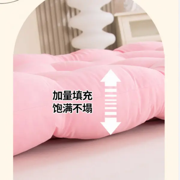 Đệm Ghế Sofa Đầu Giường Đệm Nệm Mềm, Tựa Lưng Lớn, Phong Cách Ins, Đồ Trang Trí Giường Công Chúa Dễ Thương, Vỏ Mềm Tatami, Thích Hợp Cho Ký Túc Xá Và Ghế Sofa 3