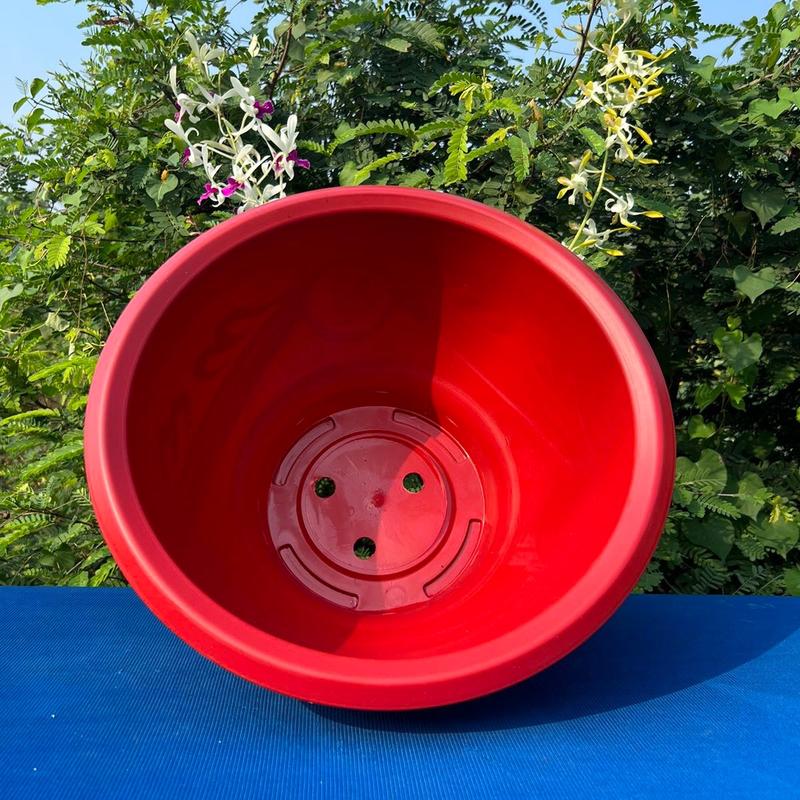    Combo 10 Cái   Chậu Nhựa Trồng Cây T38 Loại Dày Dặn 36x20cm 