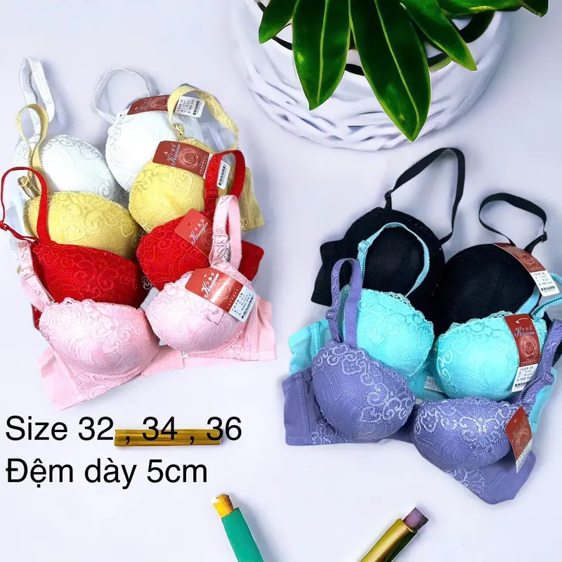 áo lót ren quyến rữ nâng vòng 1 siêu dày  5cm  MS: 817 Women Voi Nhung Viền Ren chỉ giặt tay 【 xám xanh lá 】 Kem áo  tạo khe ngực dày 0